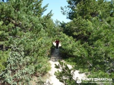 Cuerda de Cuelgamuros - Senderismo Ávila - Ruta Madrid; sierra madrid